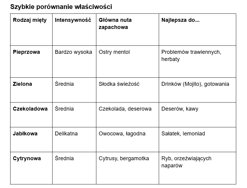 mięta
